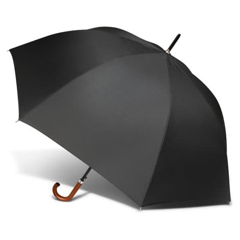 Executive Umbrella - Image 1