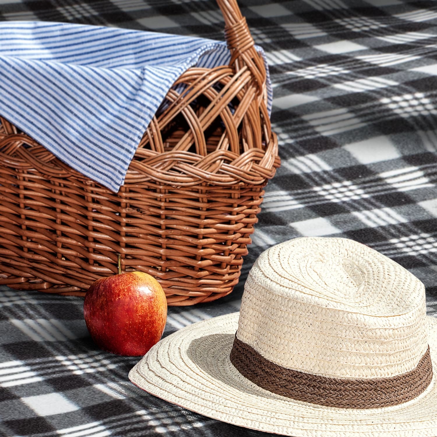 Dakota Picnic Blanket · Product view