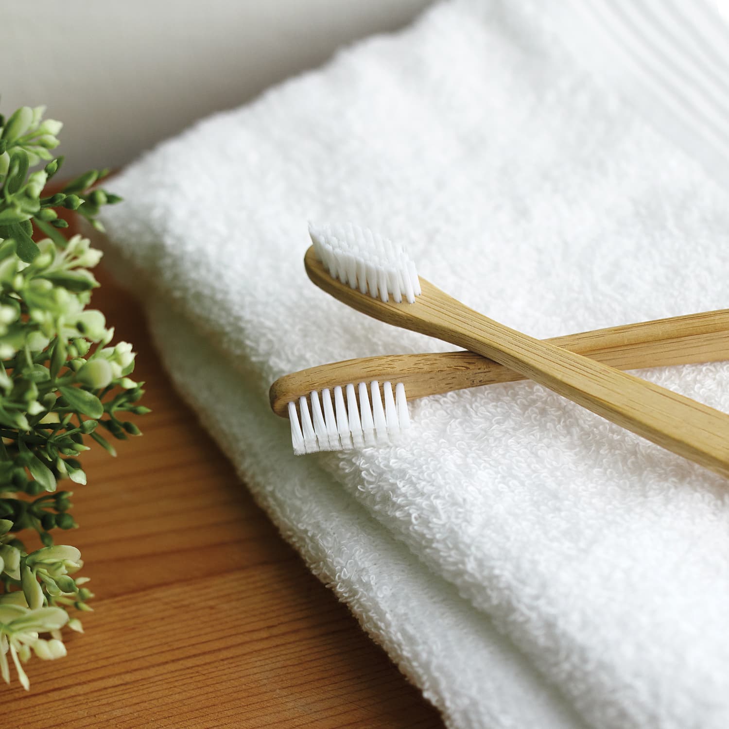 Bamboo Toothbrush · Product view