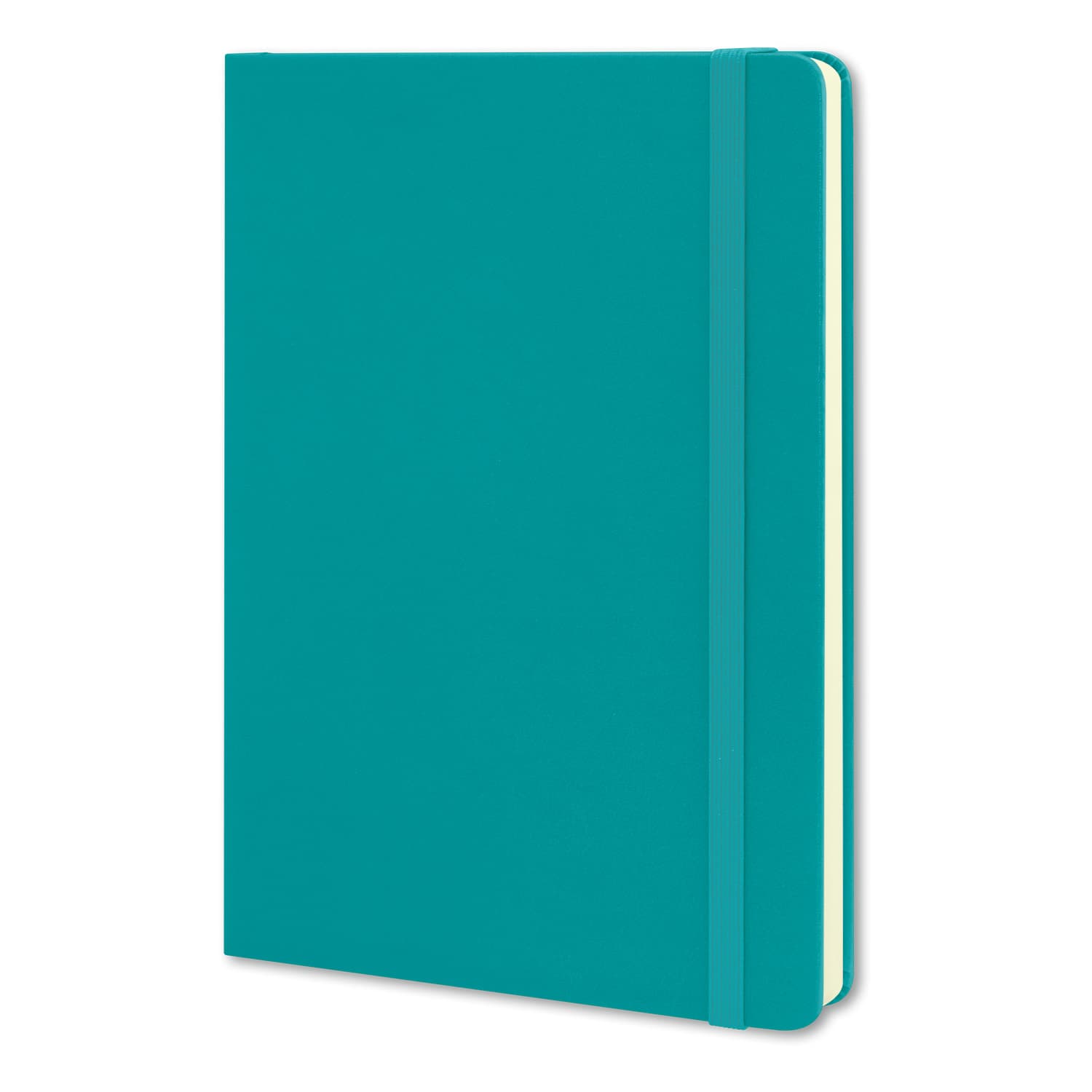 Moleskine Classic Hard Cover Notebook - Large · Product view
