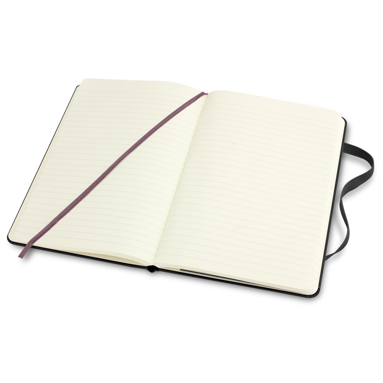 Moleskine Classic Hard Cover Notebook - Large · Product view