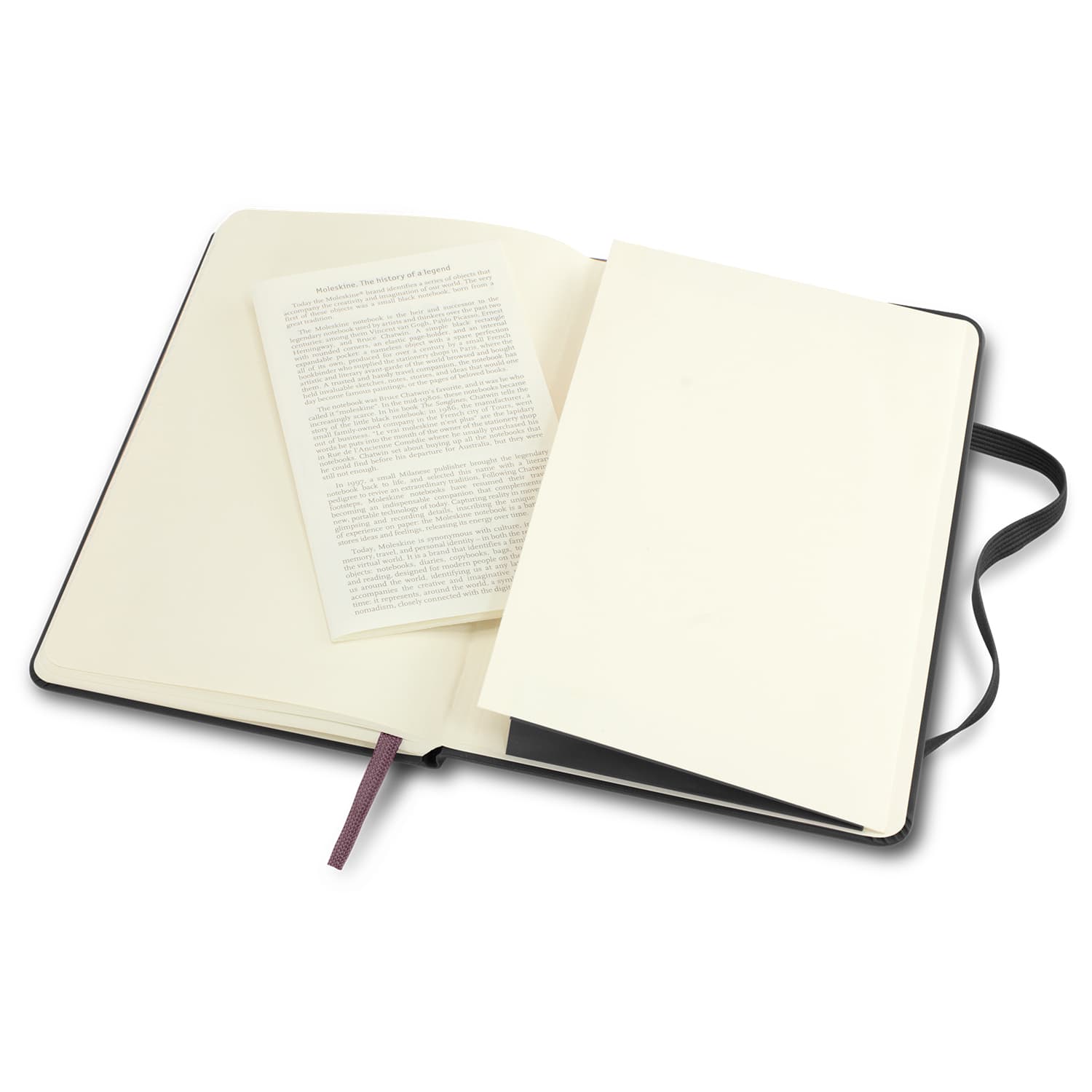 Moleskine Classic Hard Cover Notebook - Large · Product view