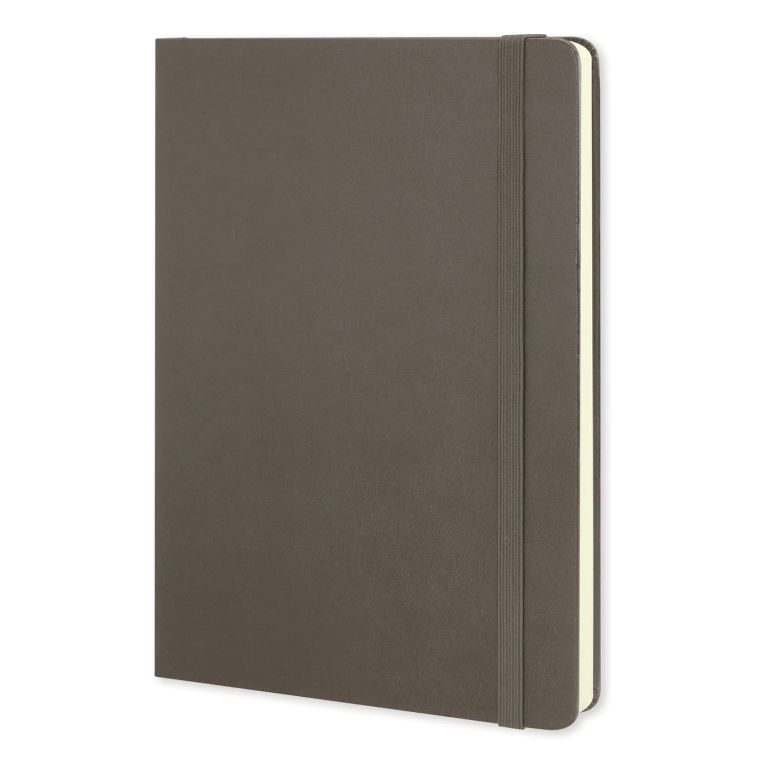 Moleskine Classic Hard Cover Notebook - Large · Product view