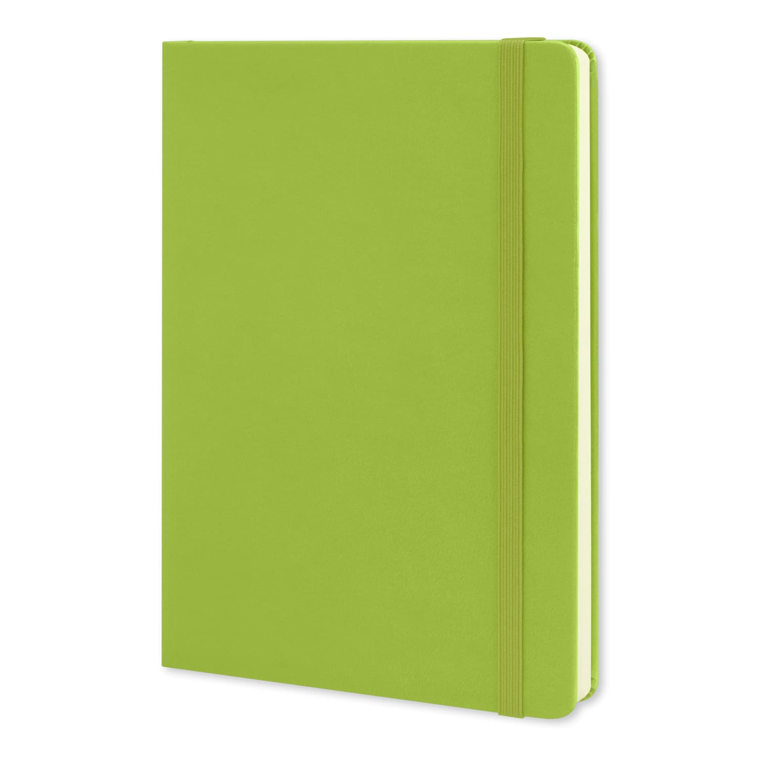 Moleskine Classic Hard Cover Notebook - Large · Product view