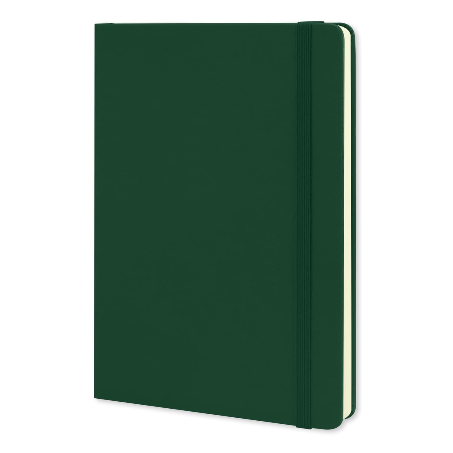 Moleskine Classic Hard Cover Notebook - Large · Product view