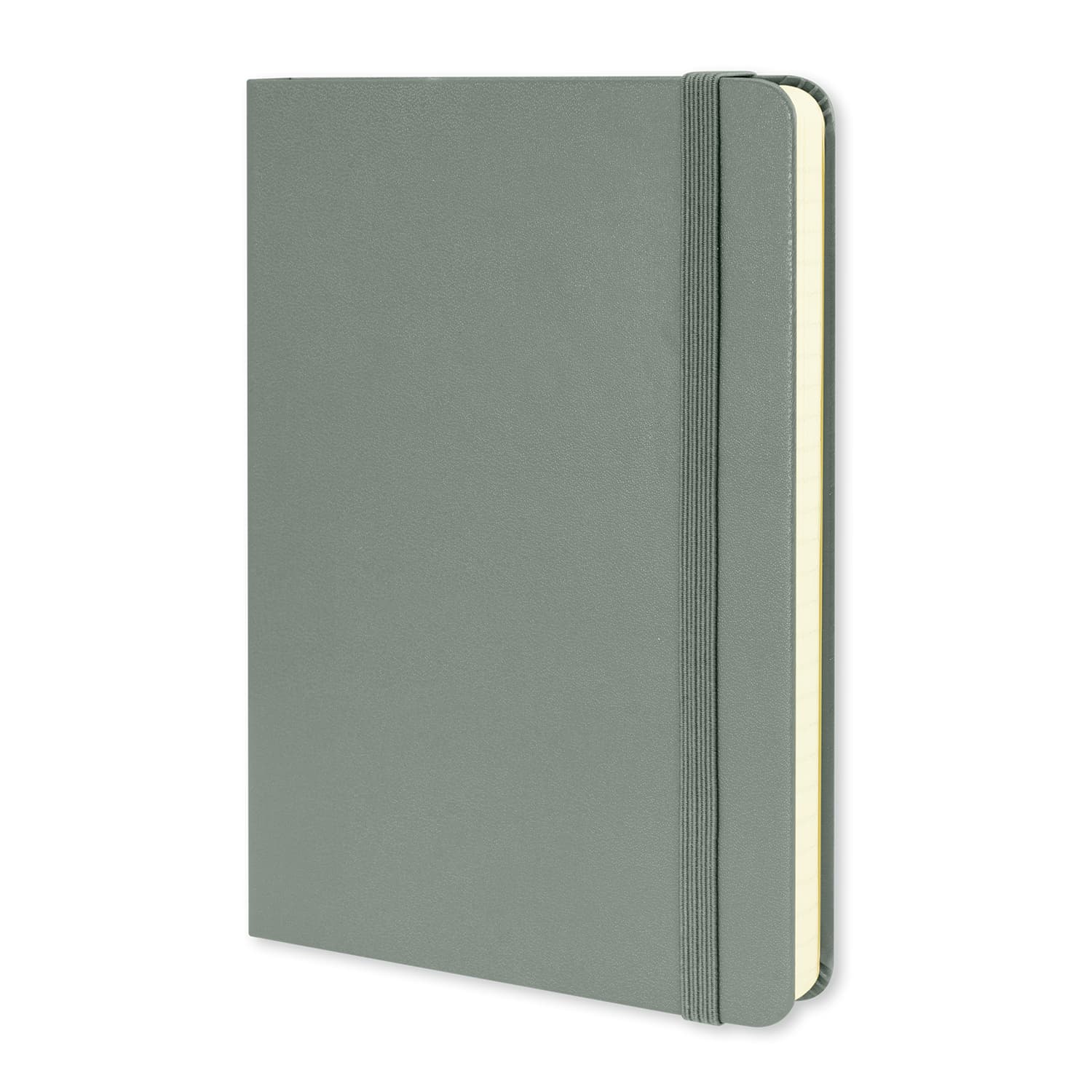 Moleskine Classic Hard Cover Notebook - Medium · Product view