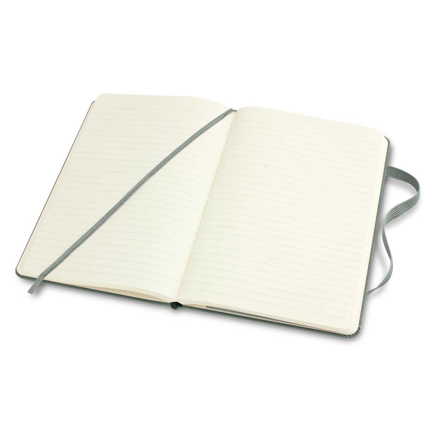 Moleskine Classic Hard Cover Notebook - Medium · Product view