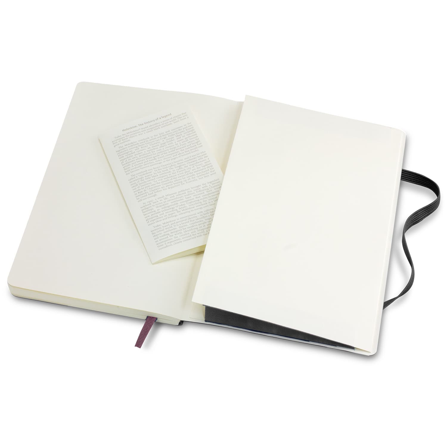 Moleskine Classic Soft Cover Notebook - Large · Product view