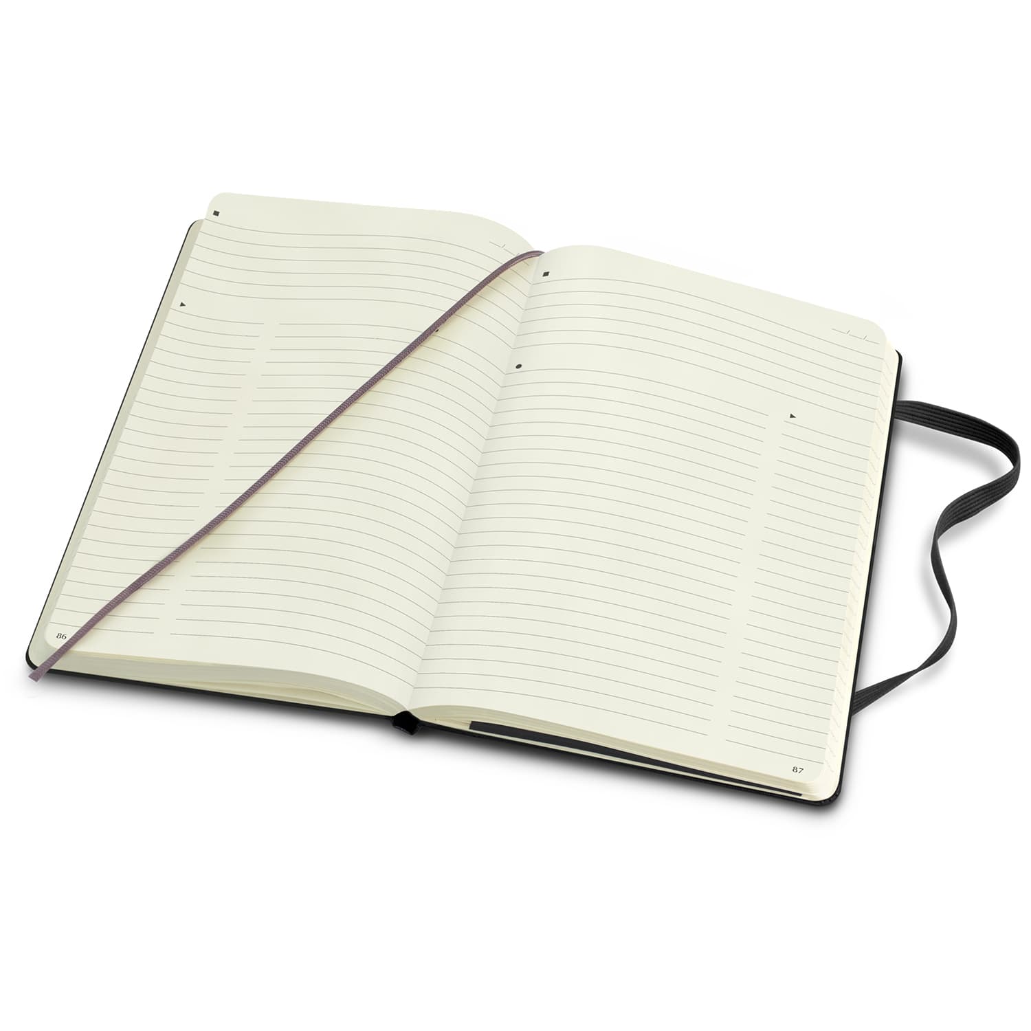 Moleskine Pro Hard Cover Notebook - Large · Product view