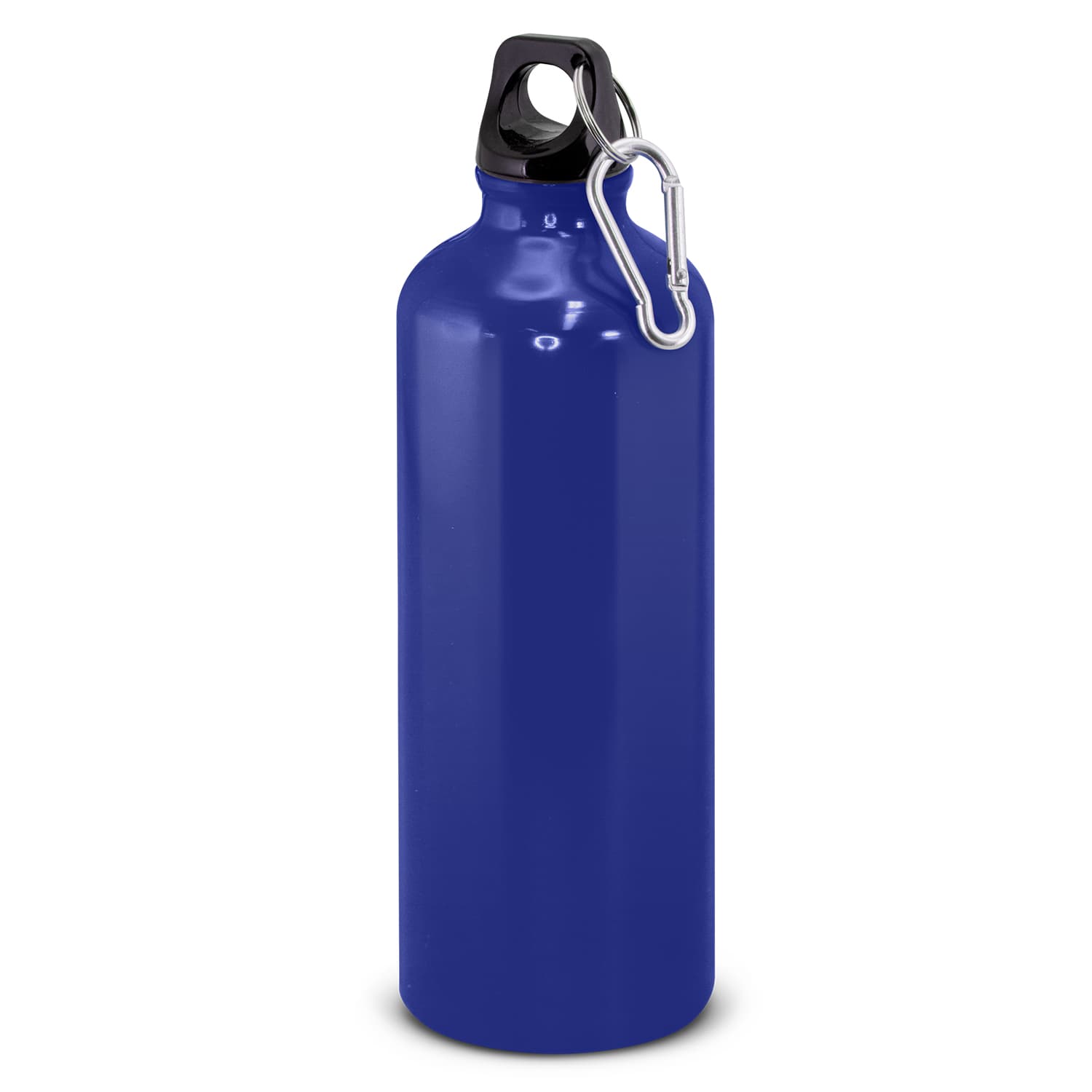 Intrepid Bottle 800ml · Royal Blue · colour reference