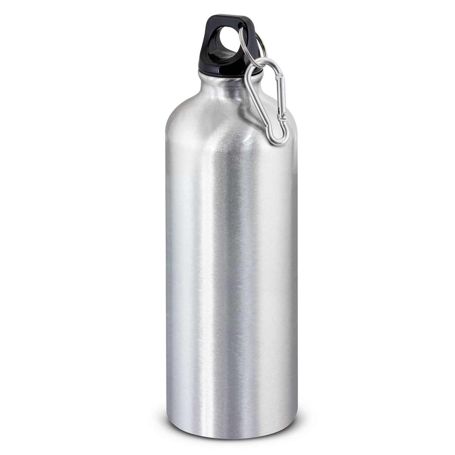 Intrepid Bottle 800ml · Silver · colour reference