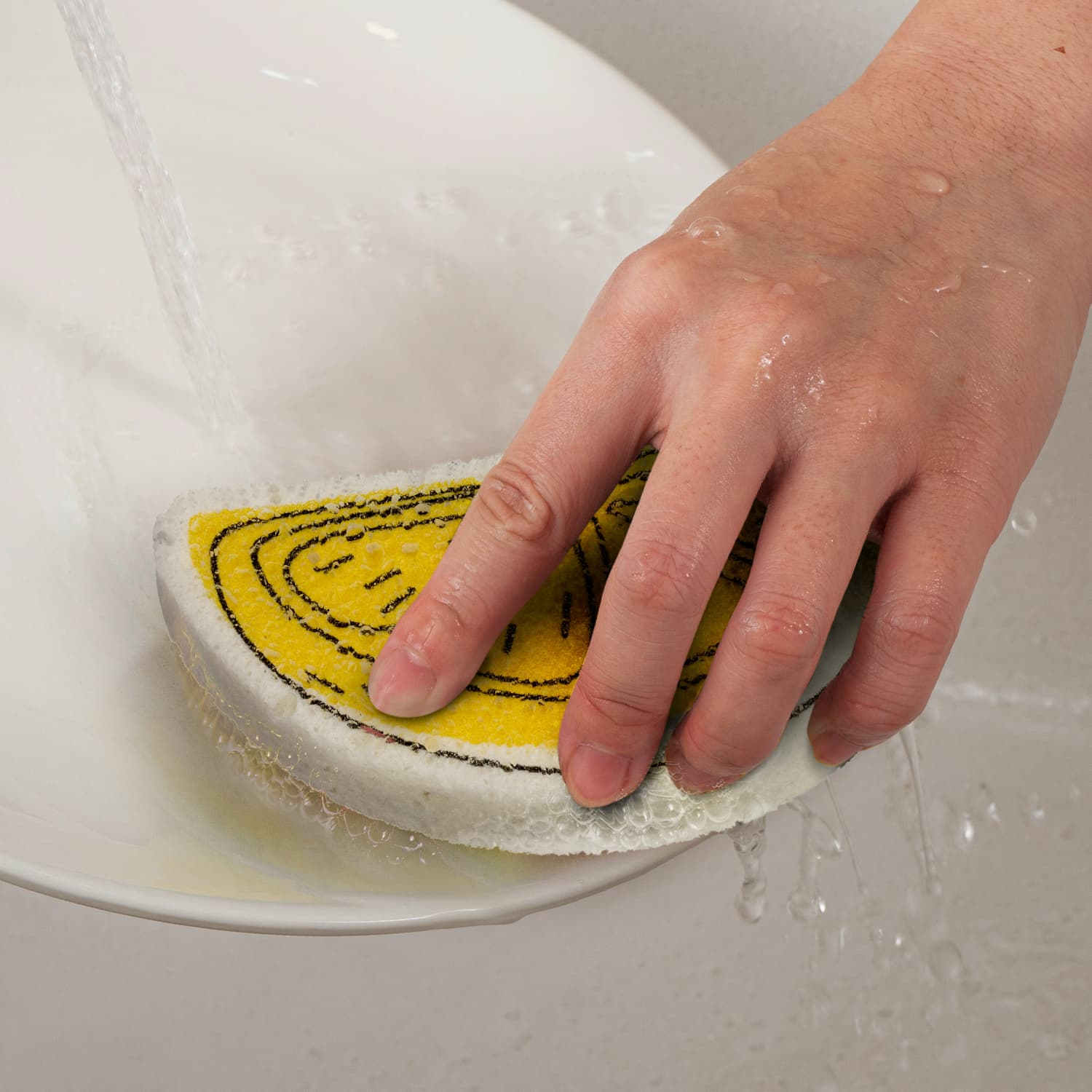 Expandable Sponge · Product view