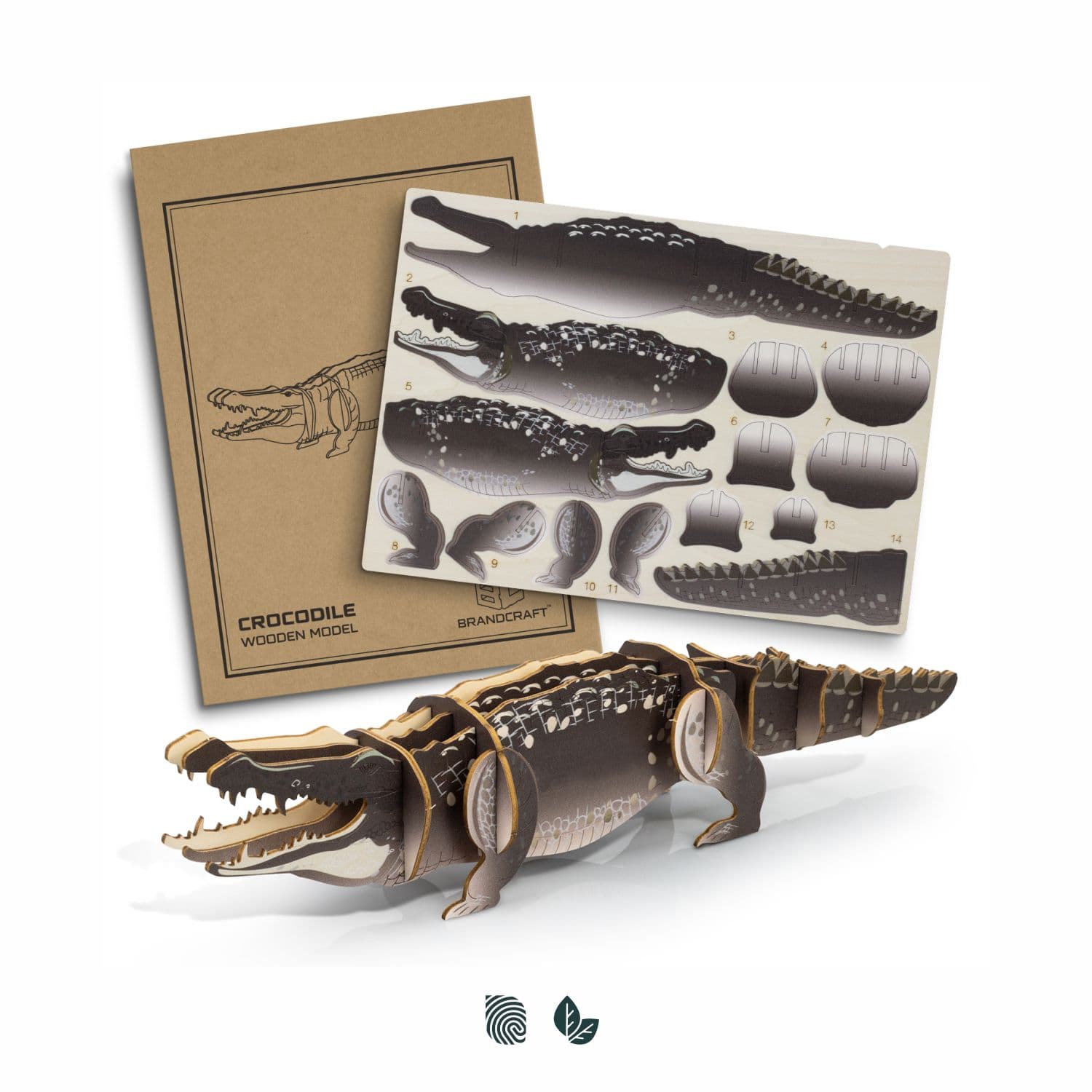 BRANDCRAFT Crocodile Wooden Model · Product view