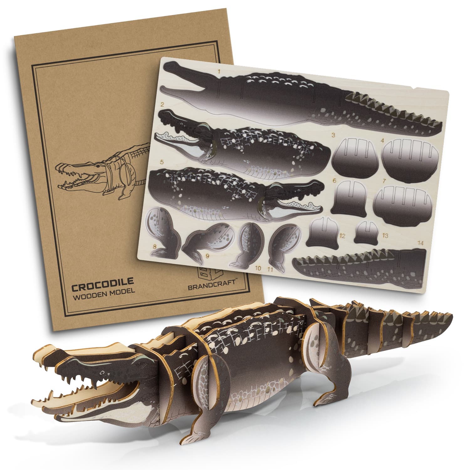 BRANDCRAFT Crocodile Wooden Model · Product view