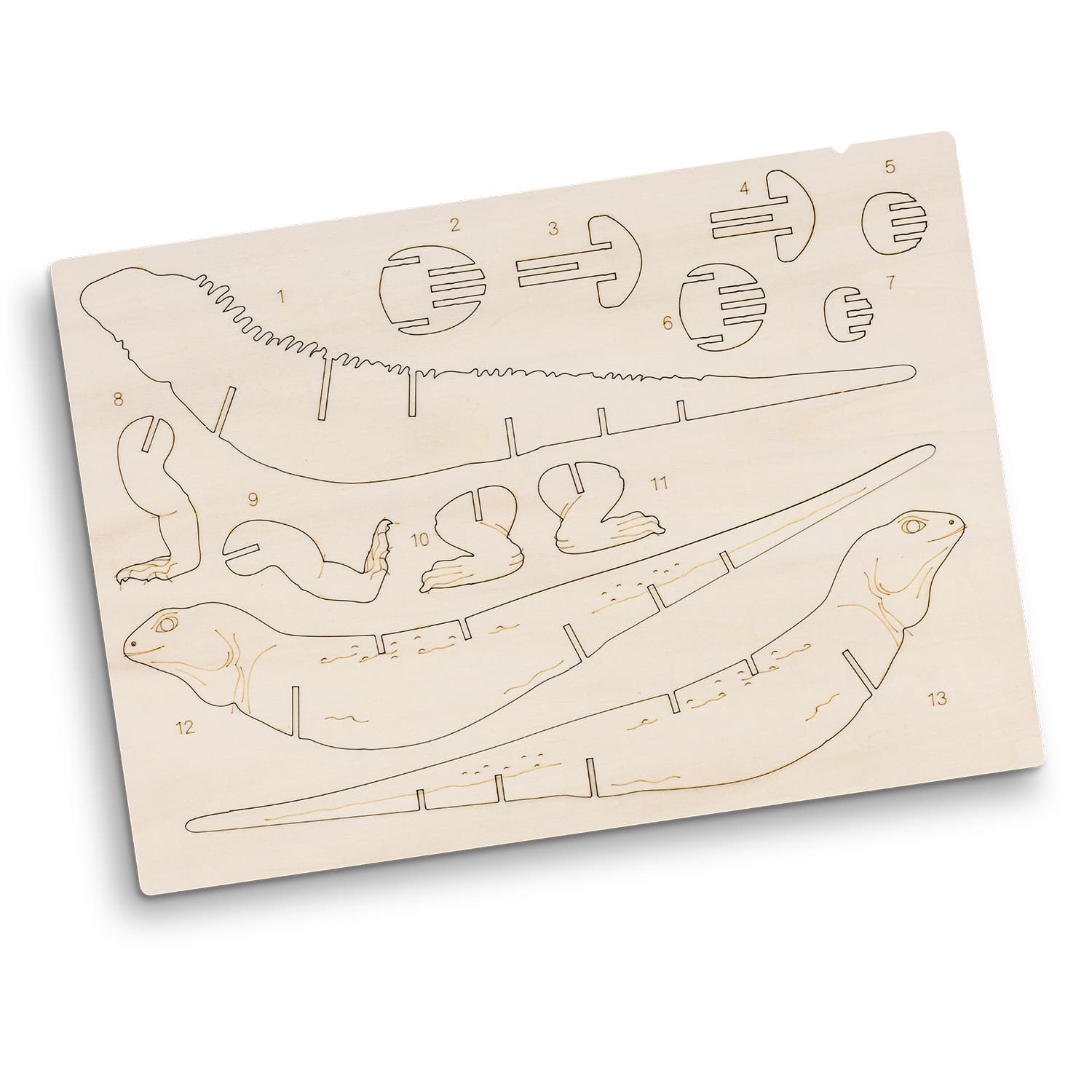 BRANDCRAFT Tuatara Wooden Model · Product view