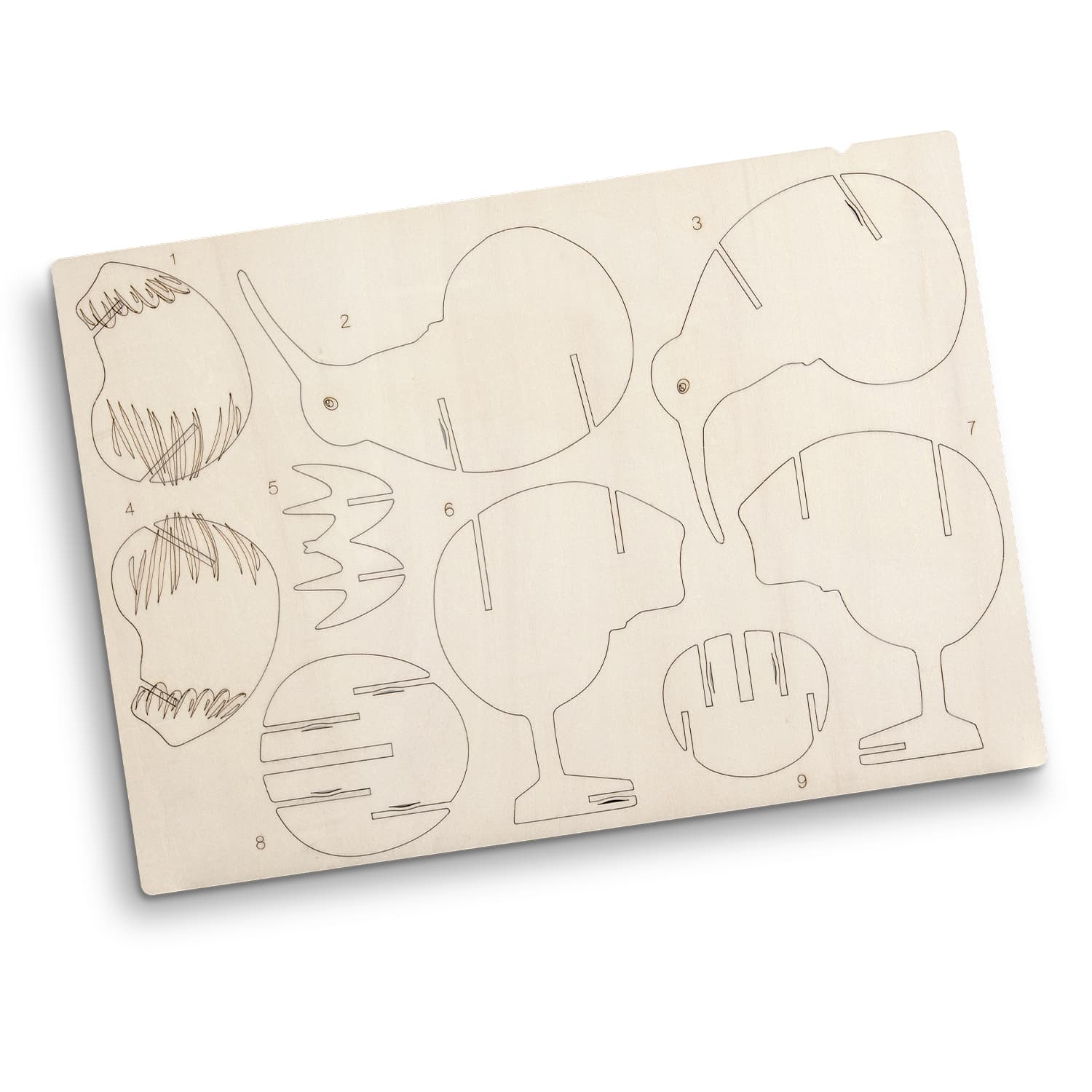 BRANDCRAFT Kiwi Wooden Model · Product view
