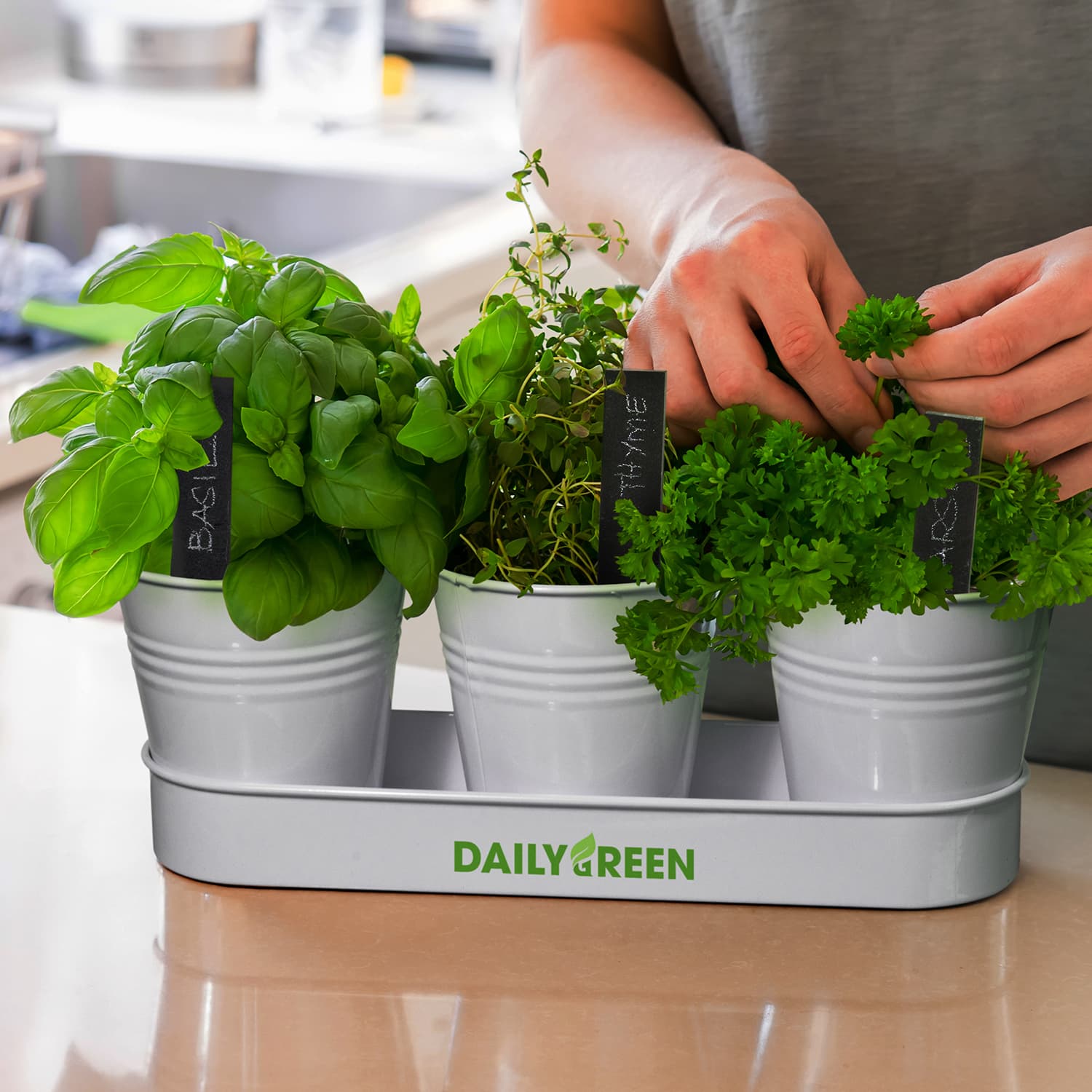 Keepsake Herb Planter · Product view