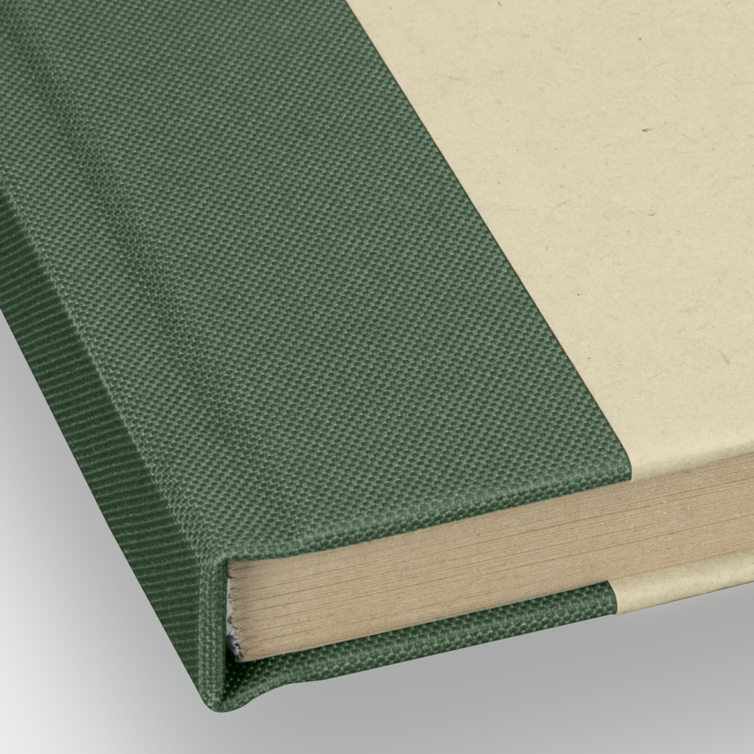 Paulo Sugarcane Notebook · Product view