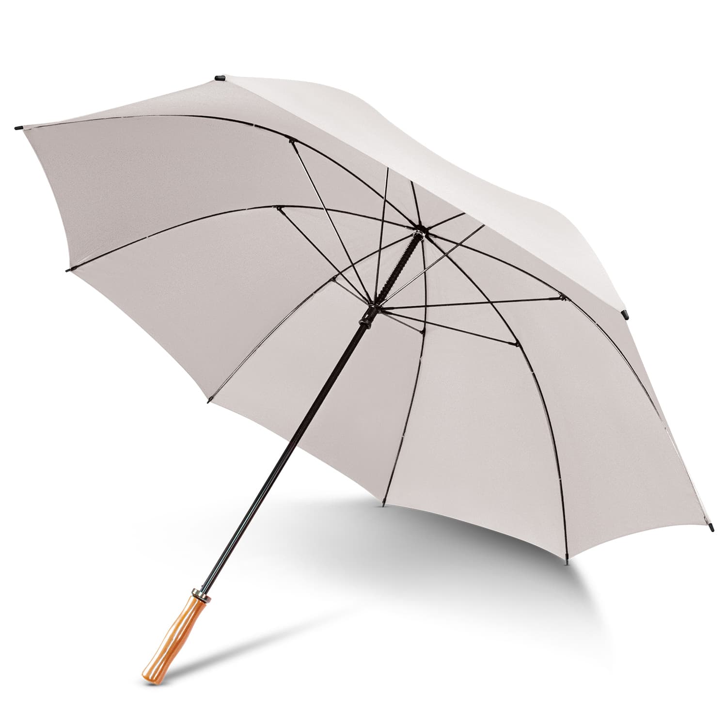 Pro Umbrella · Product view
