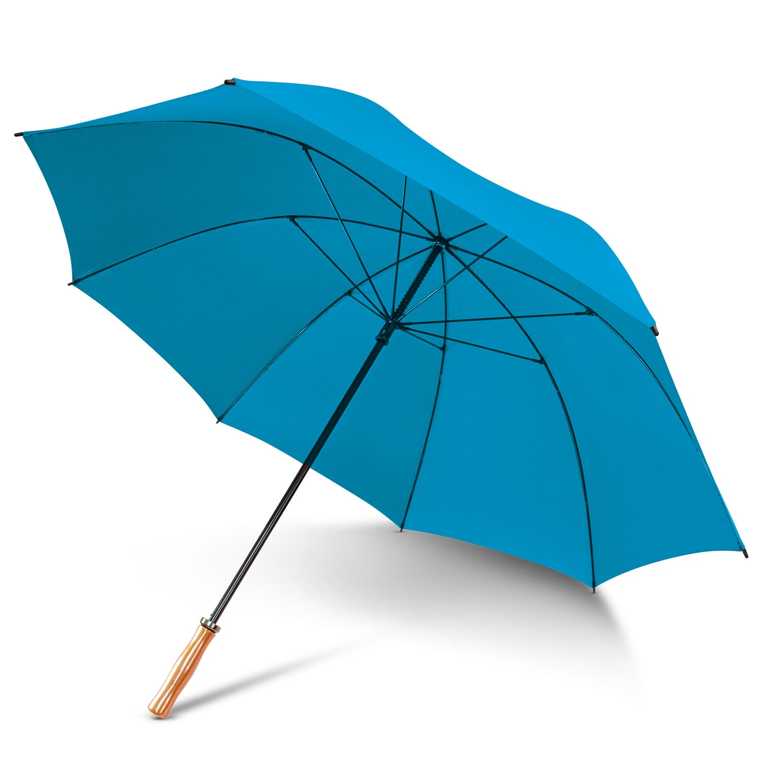Pro Umbrella · Product view