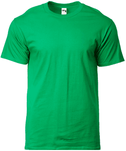 Gildan Combed Ring Spun Cotton T Shirt · Irish Green · colour reference