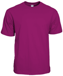 Symbolic Siro Cotton T-Shirt 210gsm · Berry · colour reference