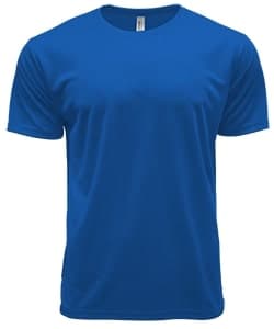 DRYtec Performance Tee 150gsm · Royal · colour reference