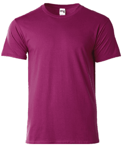 Gildan Combed Ring Spun Cotton T Shirt · Product view