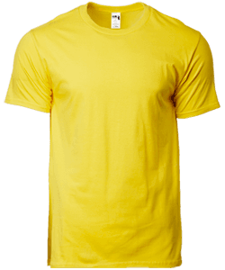 Gildan Combed Ring Spun Cotton T Shirt · Product view