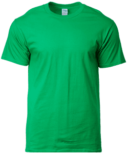 Cotton Adult Ring Spun T-Shirt 180gsm · Irish Green · colour reference
