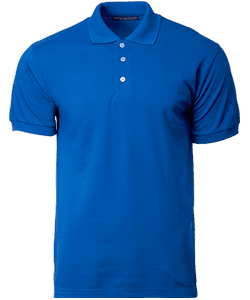 Soft-Touch Polo 220gsm · Royal · colour reference