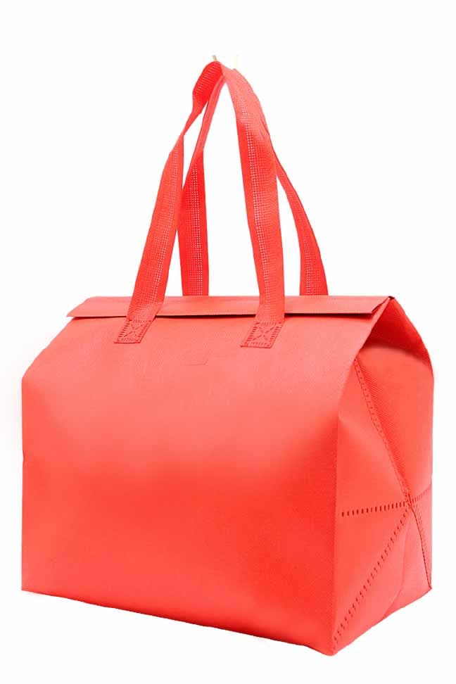 Lamberton Non Woven Bag · Product view