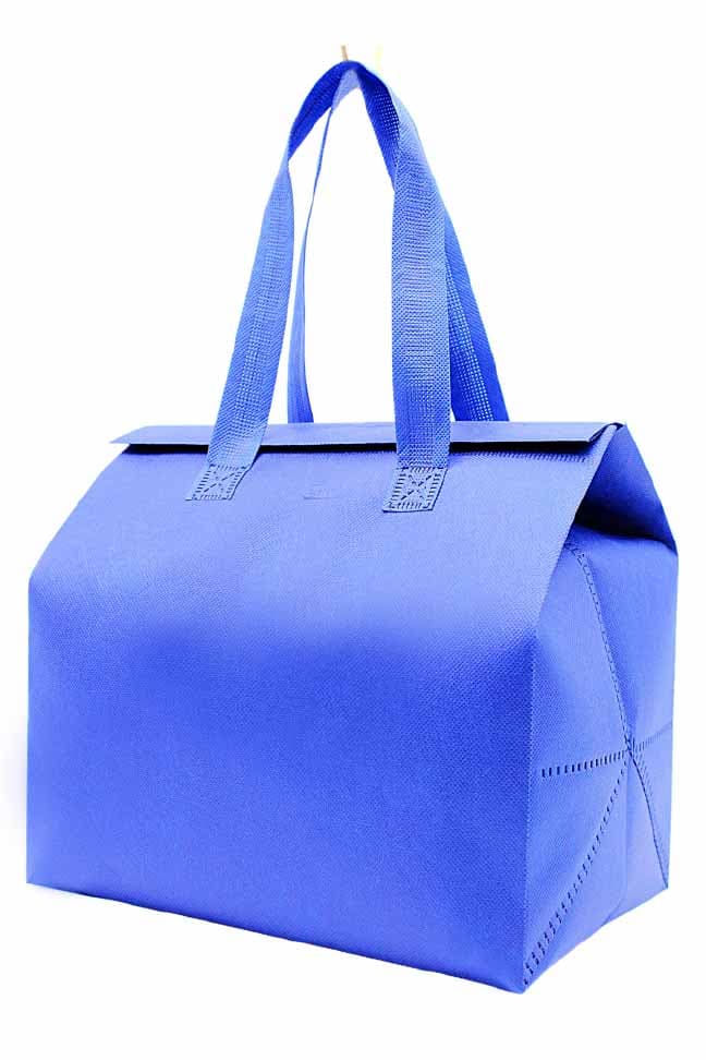 Lamberton Non Woven Bag · Product view