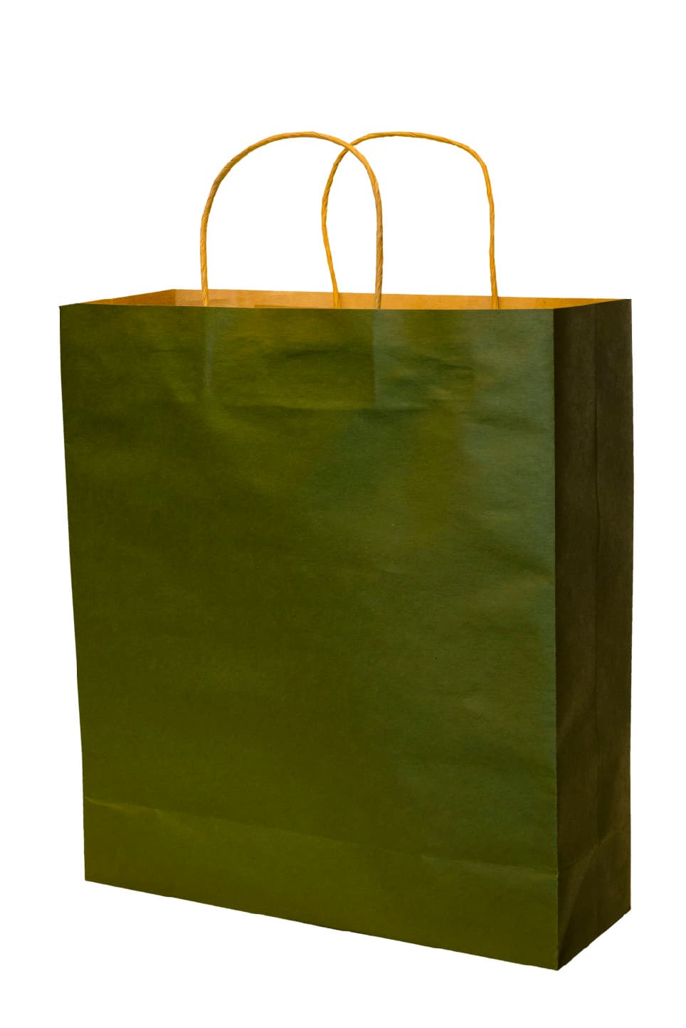 KraftEco Medium Gift Bag with Handles · Product view