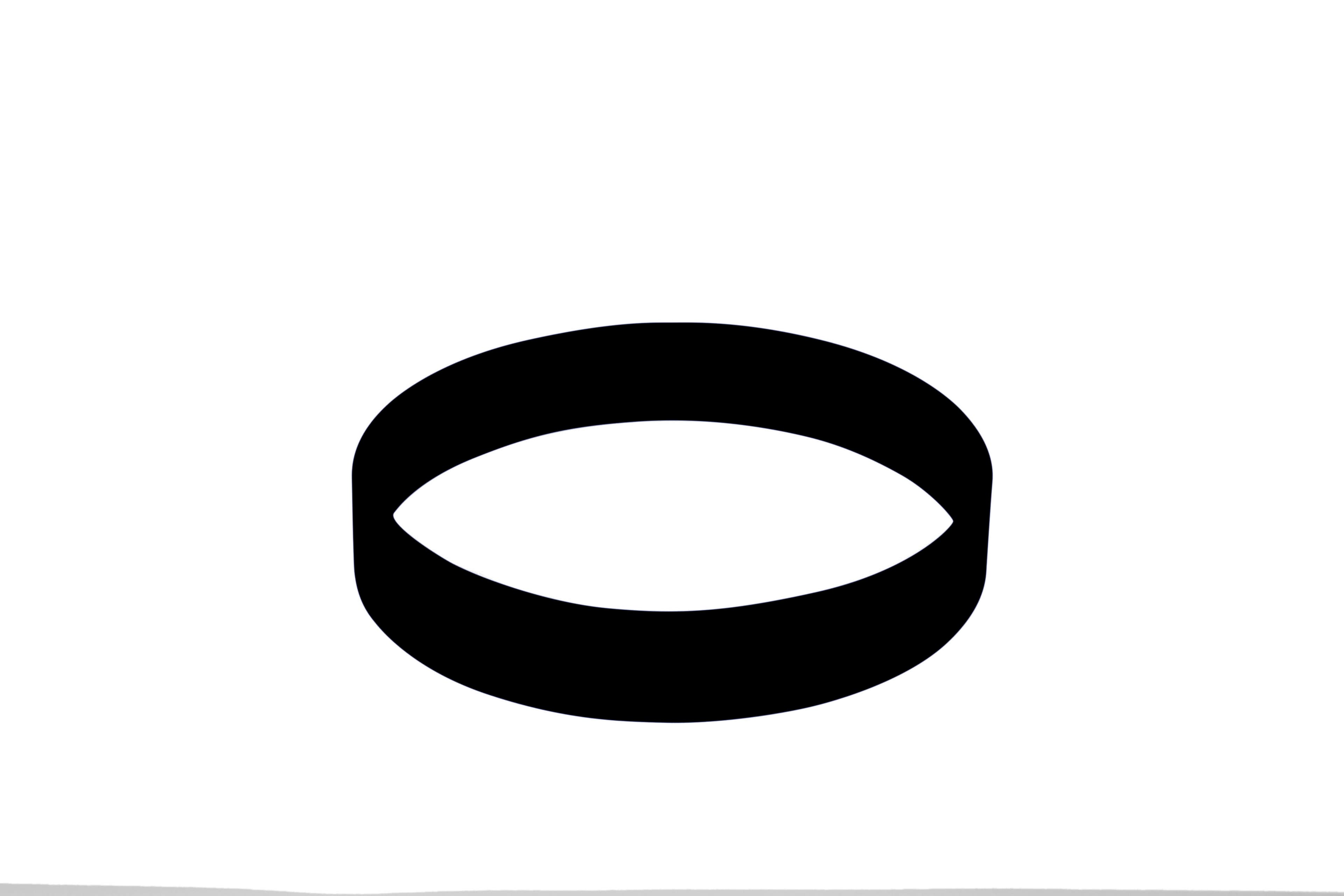 FlexiBand Silicone Wristband · Product view