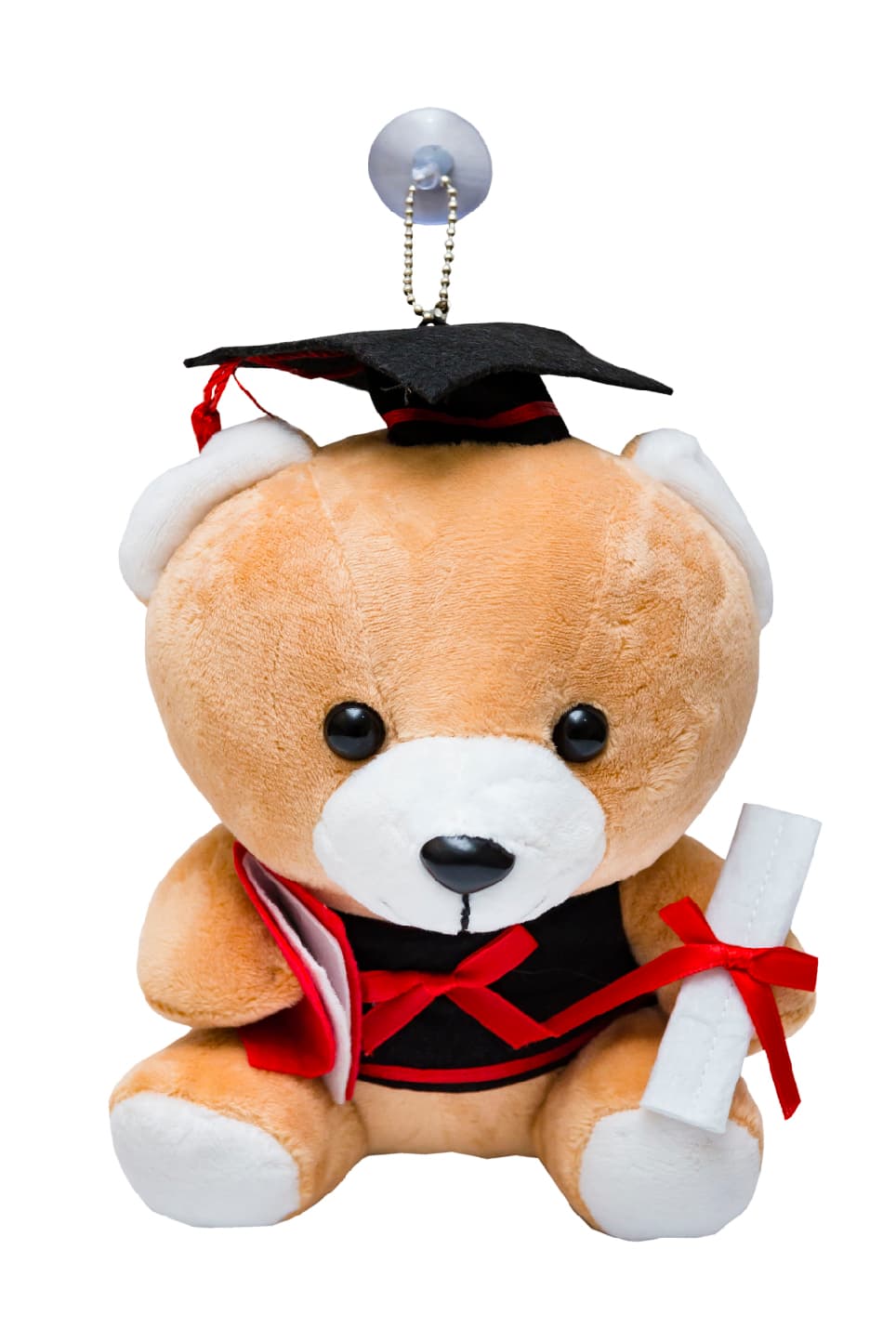 Graduation Soft Toy Bear · Product view