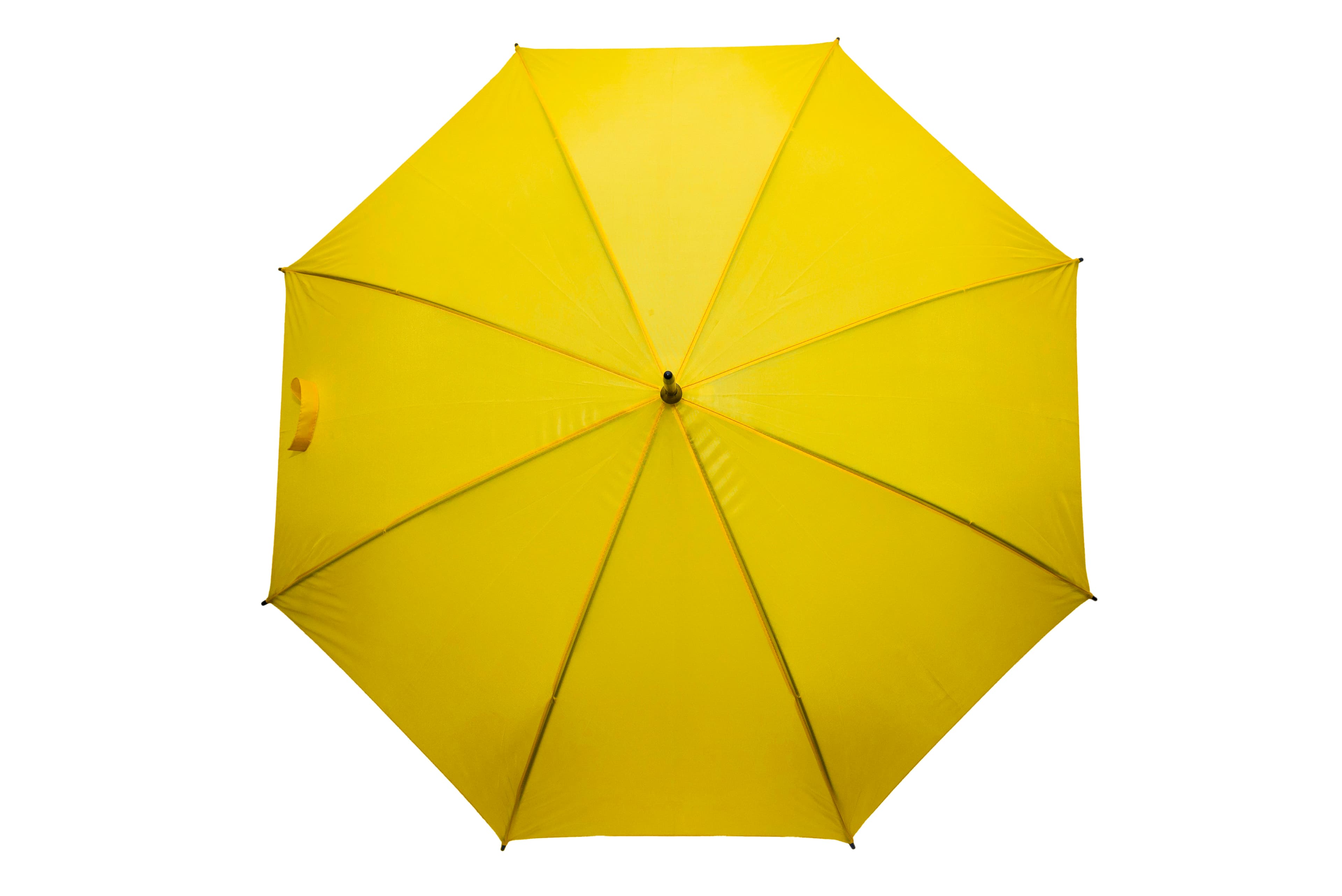 Sable Polyester Solid Fabric Umbrella · Product view