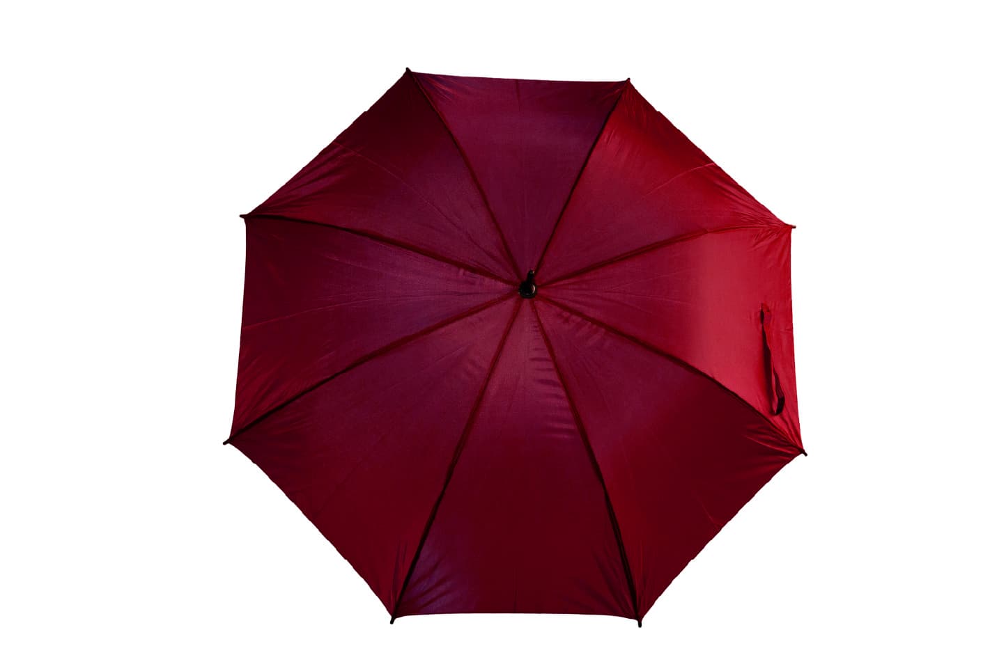 Sable Polyester Solid Fabric Umbrella · Product view