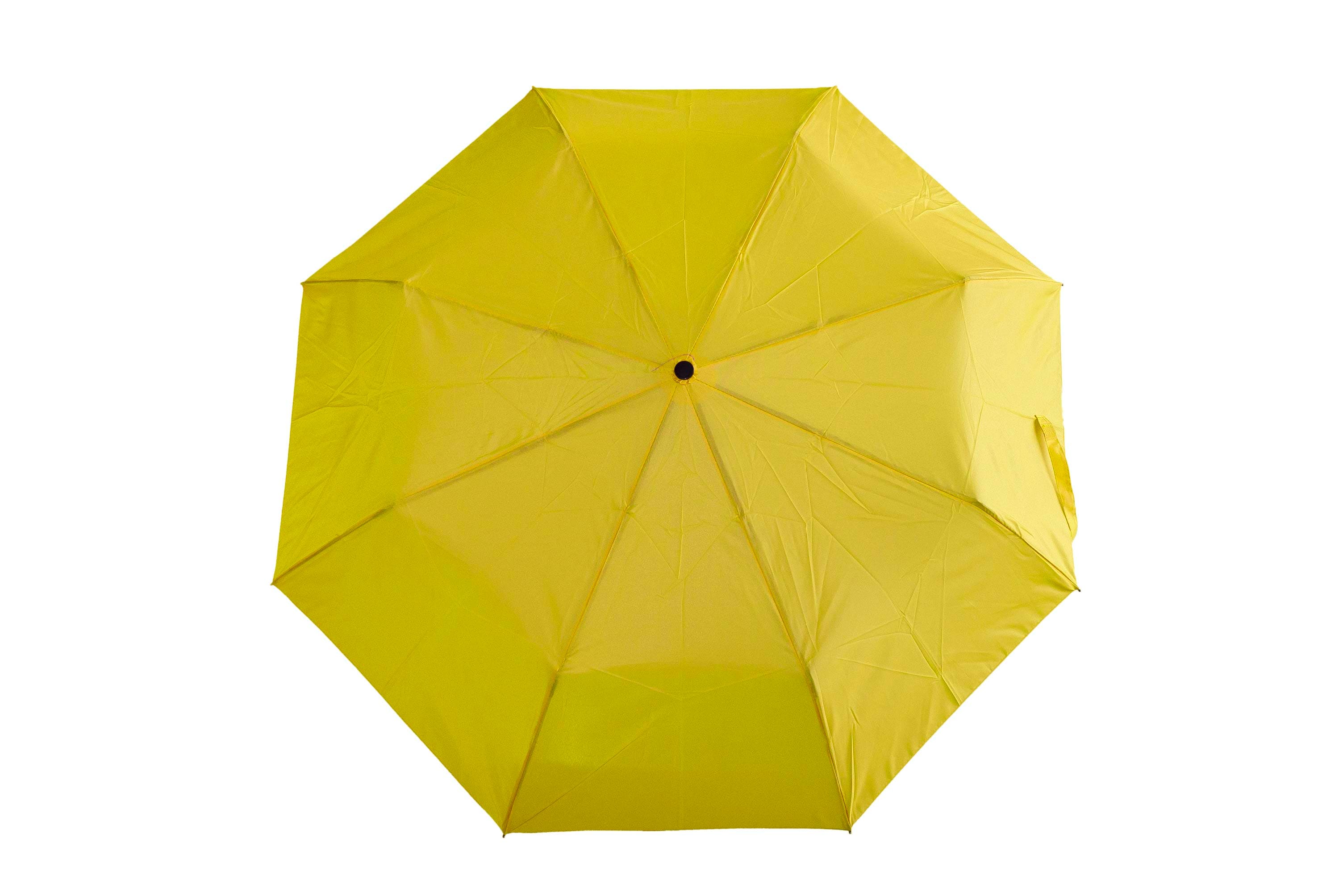 Rendell Umbrella · Product view
