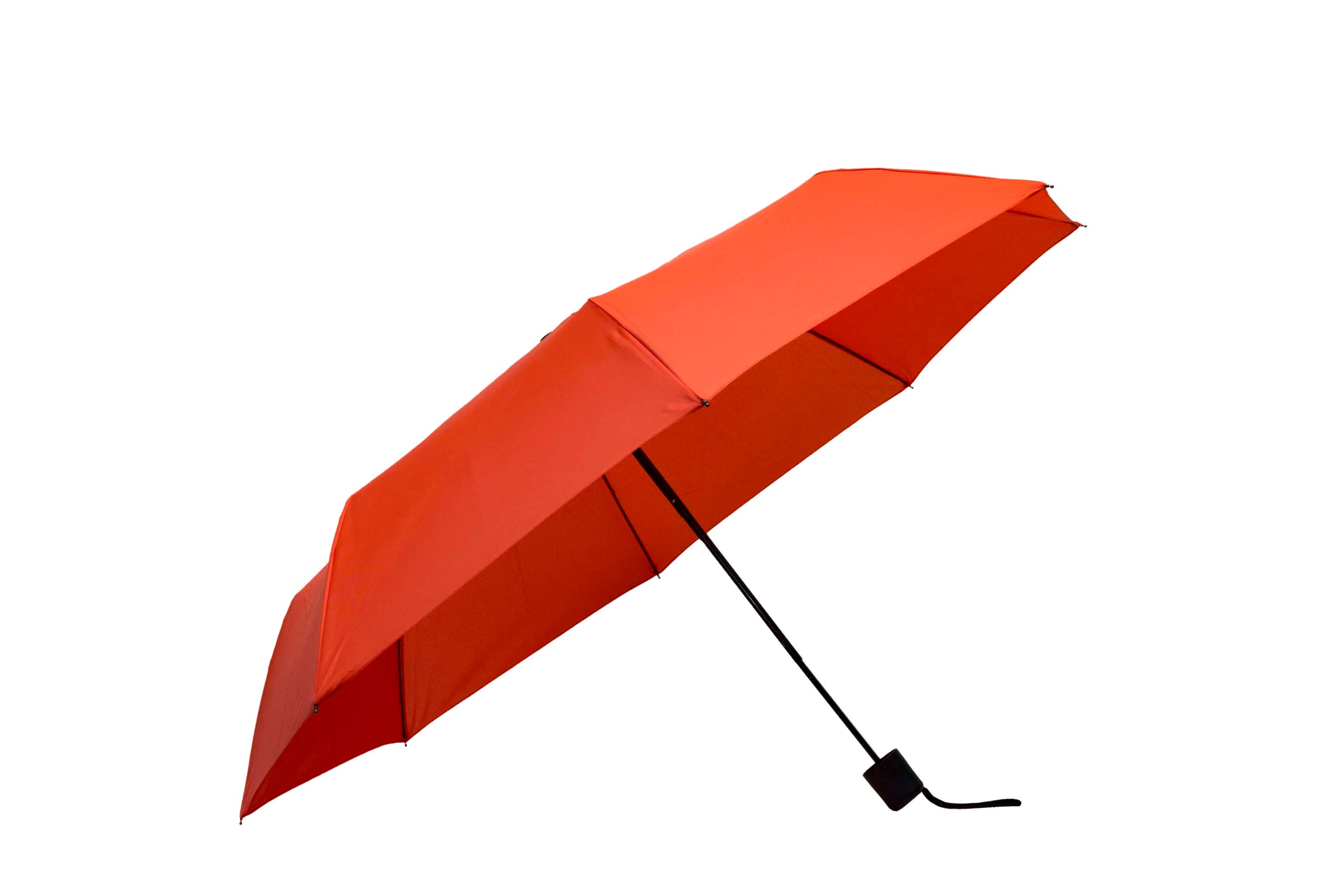 Rendell Umbrella · Product view