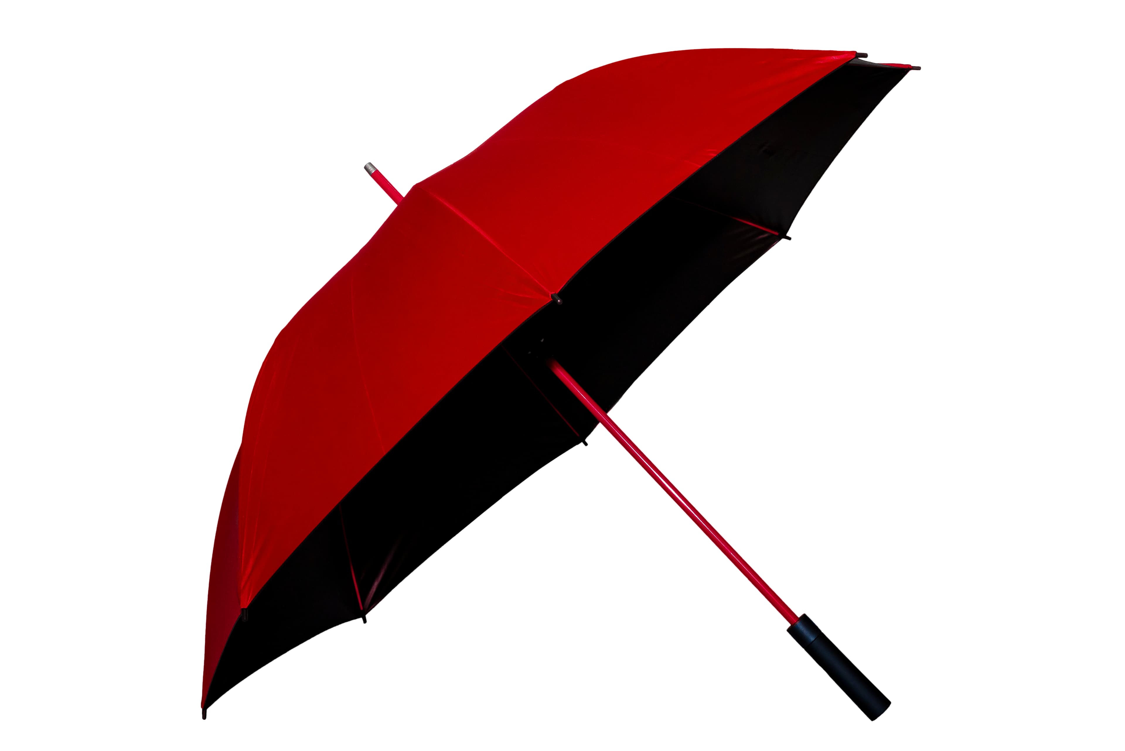 Rushmore Umbrella · Product view