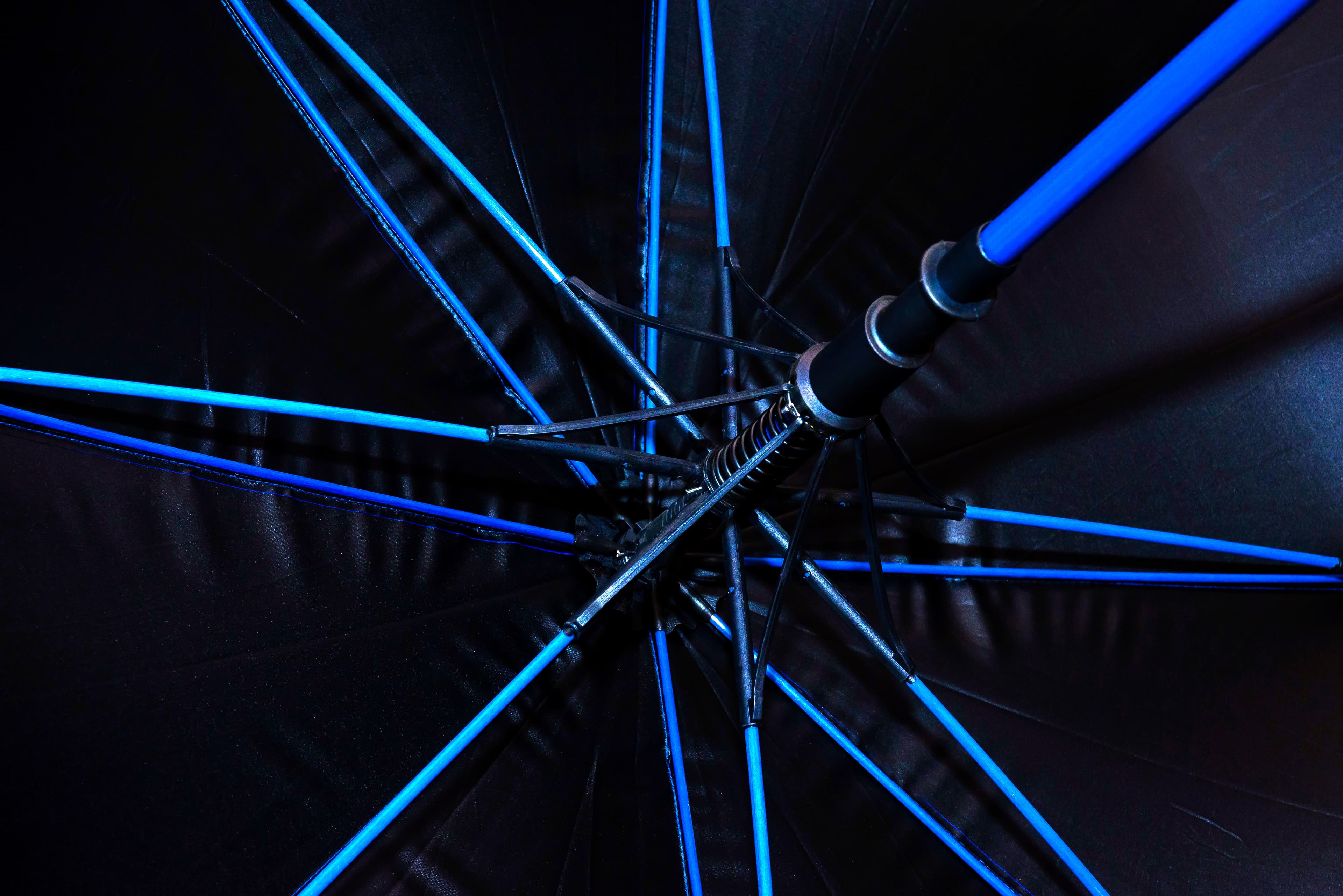 Rushmore Umbrella · Product view