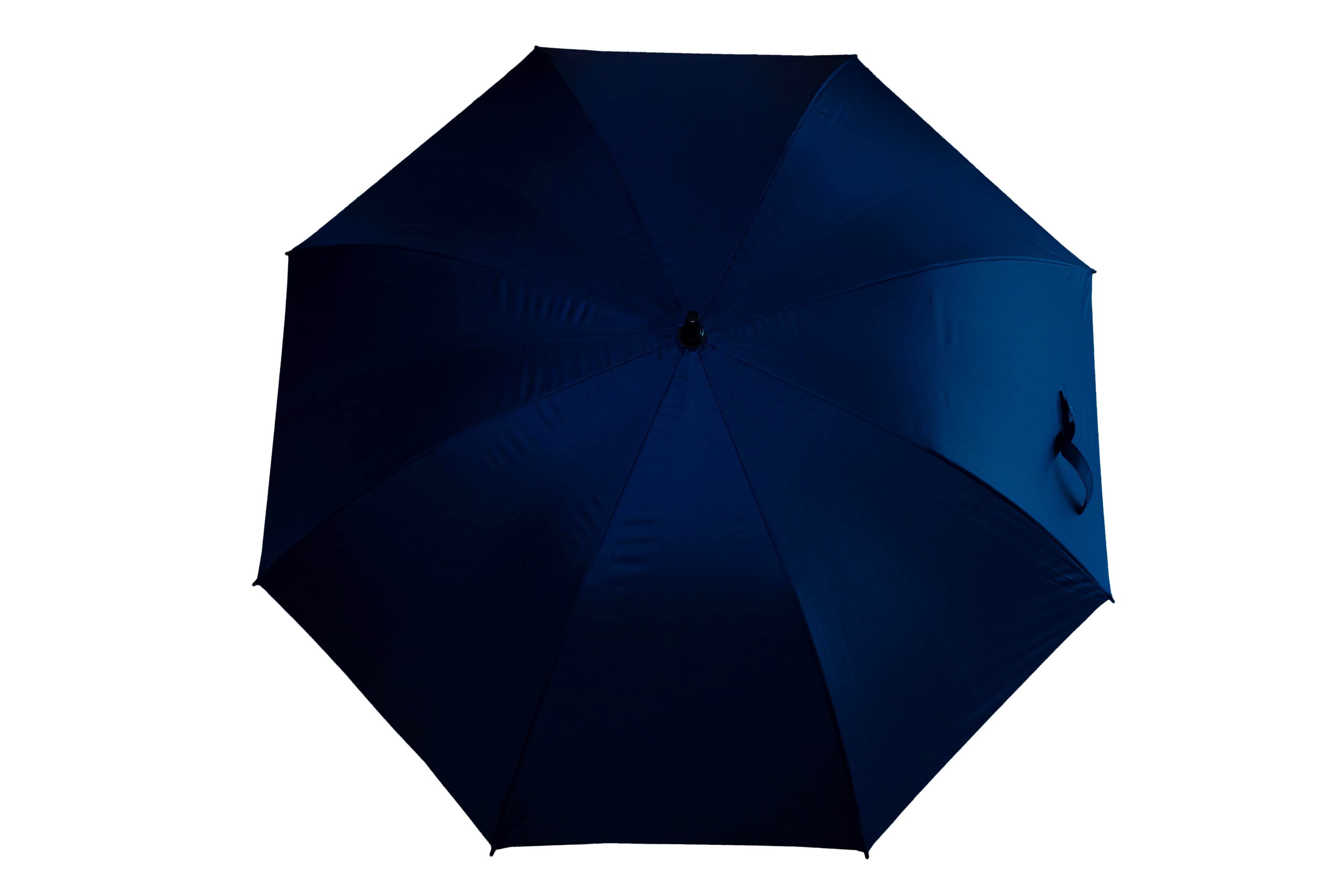 Reef Premium Black Coated Umbrella · Product view