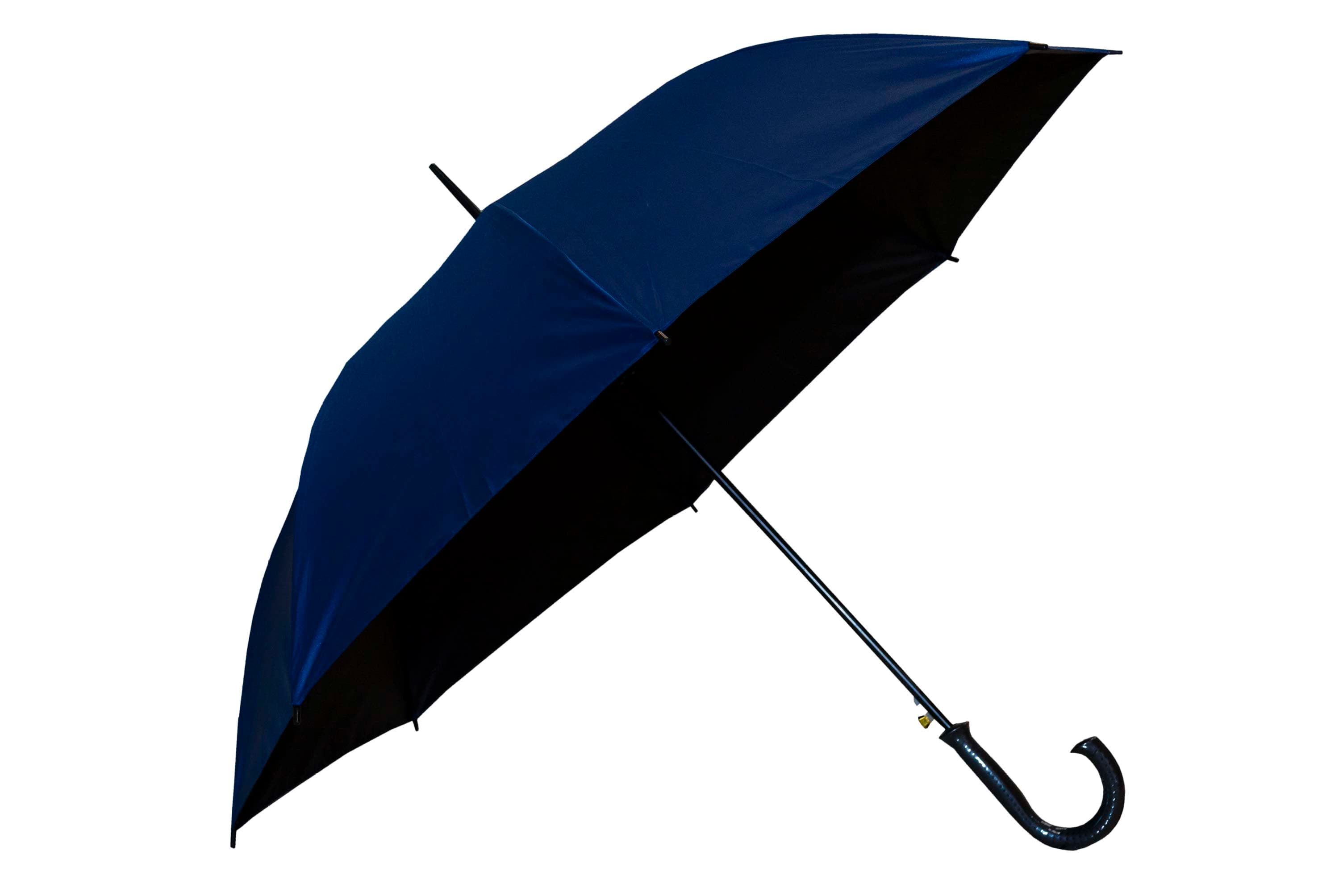 Sorrel Premium Black Coated Umbrella · Product view