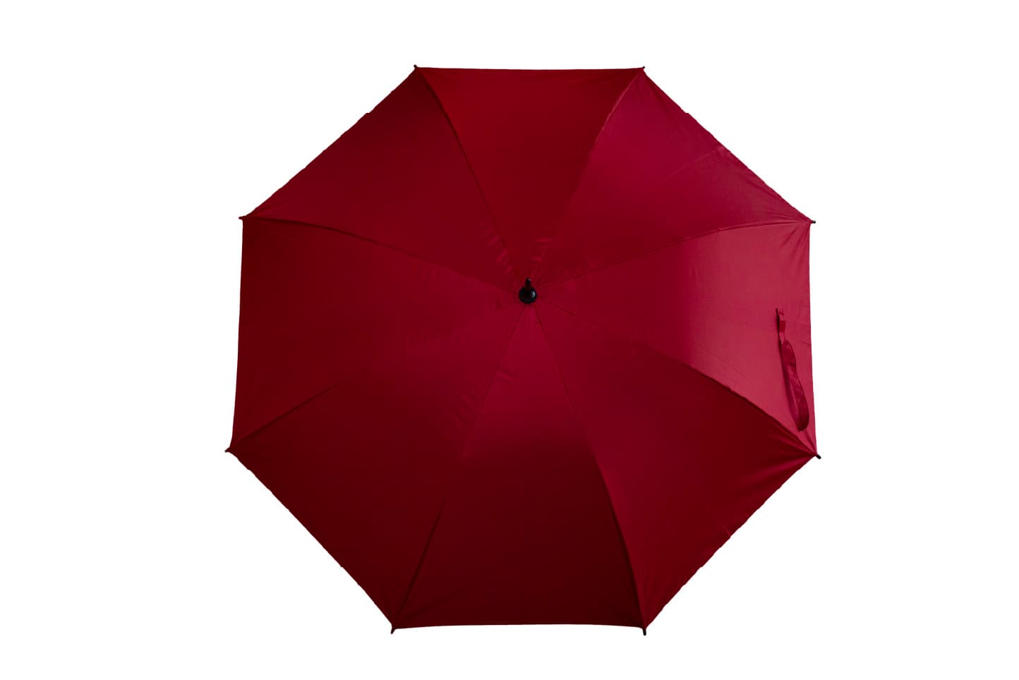 Sorrel Premium Black Coated Umbrella · Product view