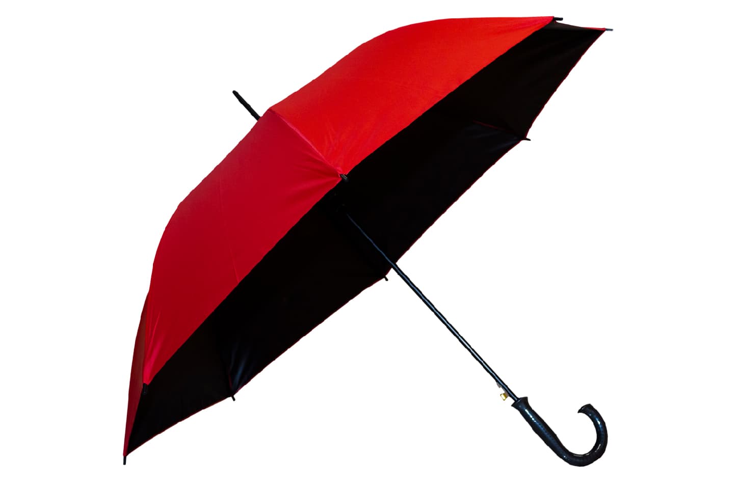 Sorrel Premium Black Coated Umbrella · Product view