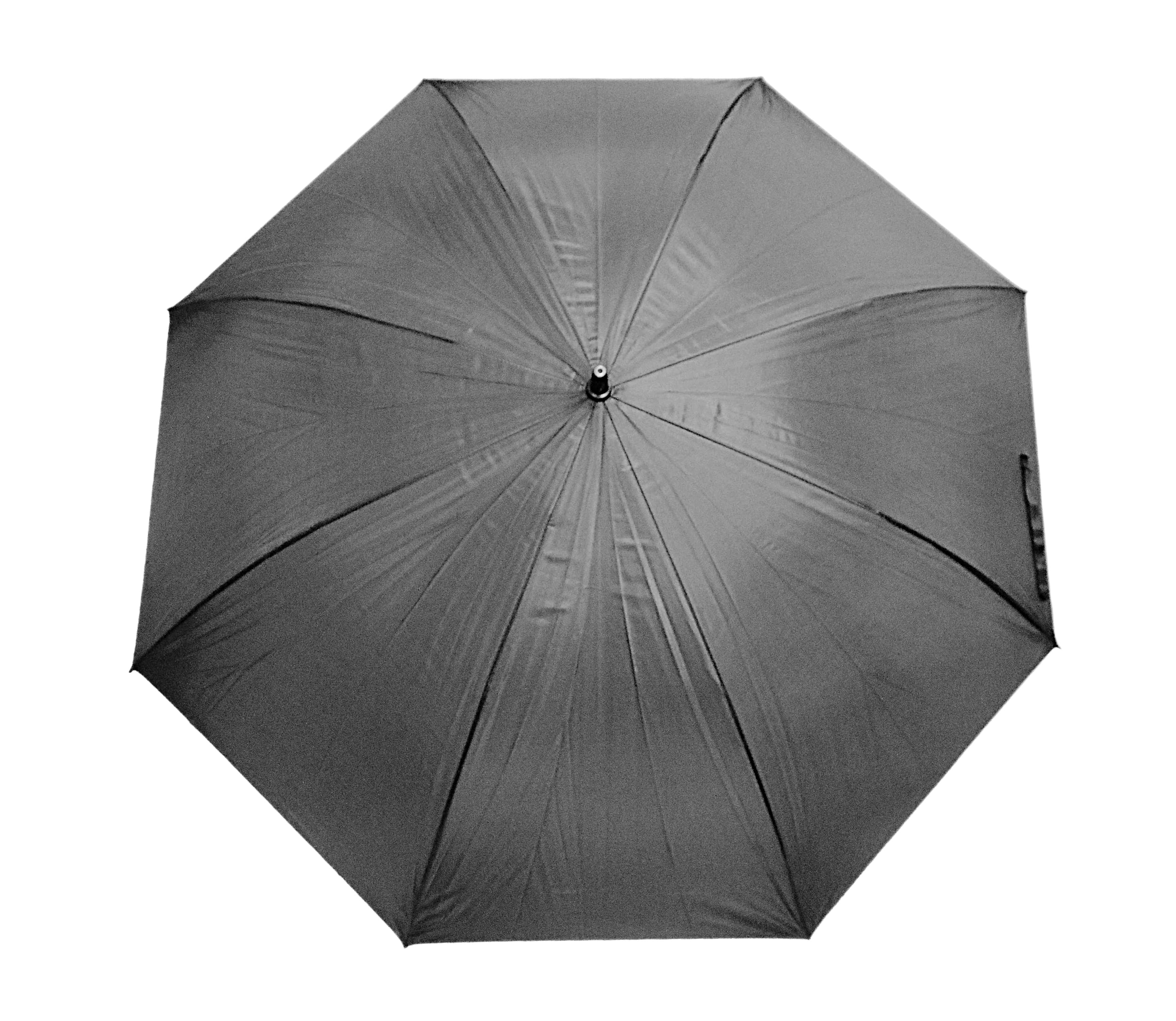 Longford Umbrella · Product view