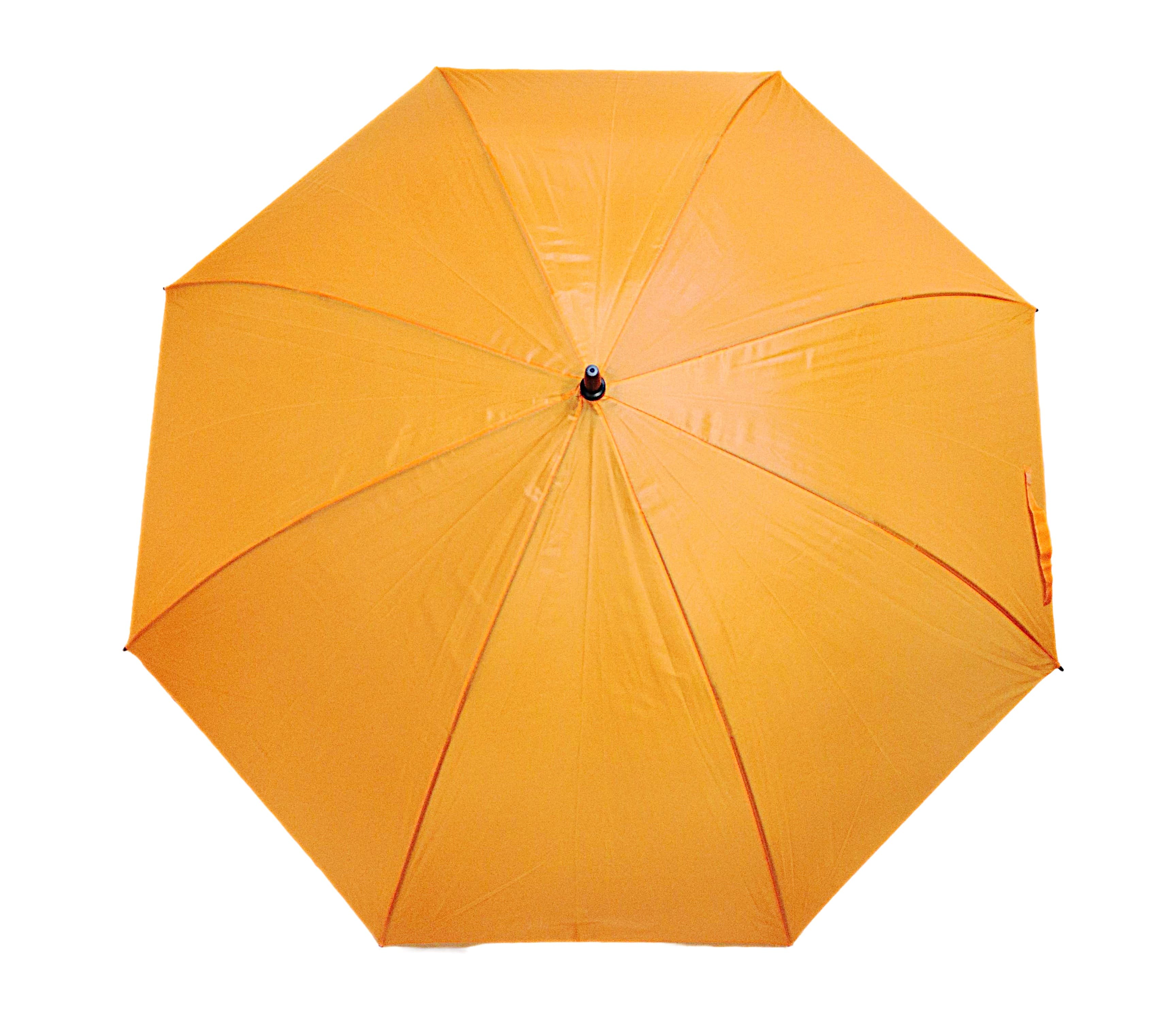 Longford Umbrella · Product view