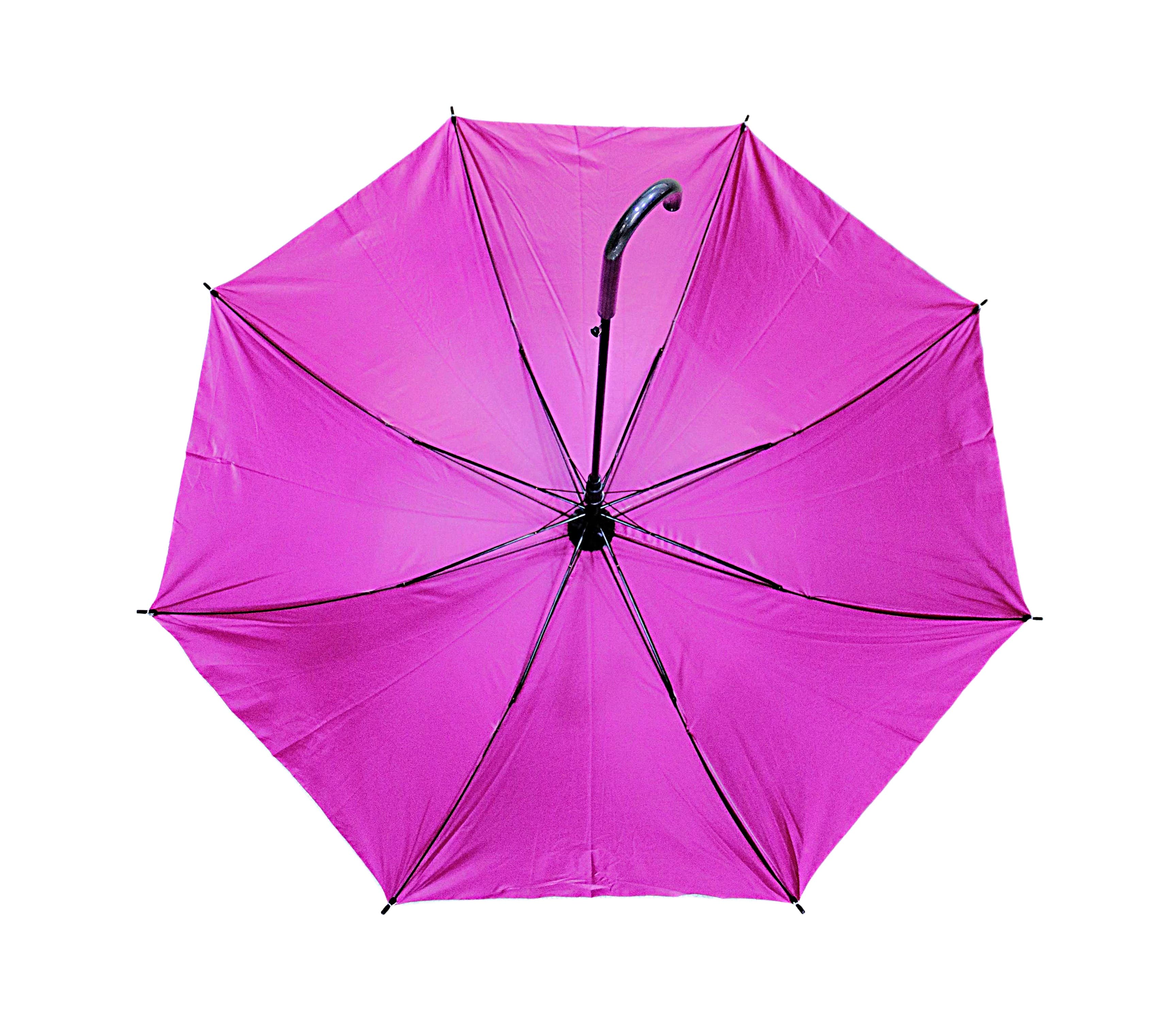Easton Umbrella · Product view