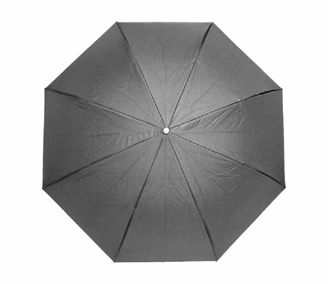 Bramley Umbrella · Product view